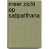 Meer zicht op satipatthana