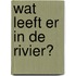 Wat leeft er in de rivier?