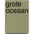Grote Oceaan