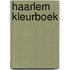 Haarlem Kleurboek