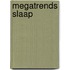 Megatrends Slaap