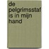 De pelgrimsstaf is in mijn hand
