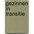 Gezinnen in transitie