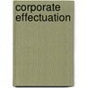 Corporate effectuation by Thomas Blekman