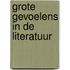 Grote gevoelens in de literatuur