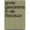 Grote gevoelens in de literatuur by Tobias Hermans
