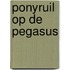 Ponyruil op de Pegasus