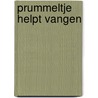 Prummeltje helpt vangen by A. Vogelaar-van Amersfoort