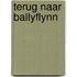 Terug naar Ballyflynn
