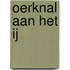 Oerknal aan het IJ