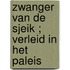 Zwanger van de sjeik ; Verleid in het paleis