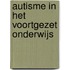 Autisme in het Voortgezet Onderwijs