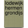 Lodewijk Hermen Grondijs by A.H. Huussen jr.
