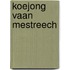 Koejong vaan Mestreech