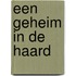 Een geheim in de haard