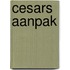 Cesars aanpak