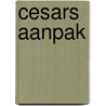 Cesars aanpak by Melissa Jo Peltier