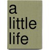 A little life door Hanya Yanagihara