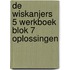 De Wiskanjers 5 Werkboek Blok 7 Oplossingen