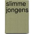 Slimme jongens
