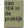 CAO 104 in de praktijk by Miet Lamberts