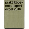 Praktijkboek MOS expert excel 2016 door Anne Timmer