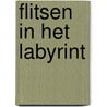 Flitsen in het Labyrint door Cedric van Wessel