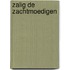 Zalig de zachtmoedigen