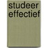 Studeer effectief