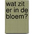Wat zit er in de bloem?