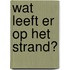 Wat leeft er op het strand?