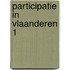 Participatie in Vlaanderen 1