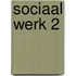 Sociaal werk 2