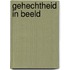 Gehechtheid in beeld