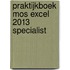 Praktijkboek MOS Excel 2013 Specialist