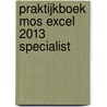 Praktijkboek MOS Excel 2013 Specialist by Anne Timmer
