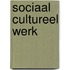 Sociaal cultureel werk