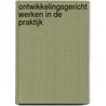 Ontwikkelingsgericht werken in de praktijk door Rudy Vandamme
