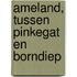 Ameland, tussen Pinkegat en Borndiep