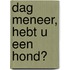 Dag meneer, hebt u een hond?