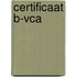 Certificaat B-VCA