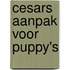 Cesars aanpak voor puppy's