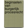 Beginselen van burgerlijk procesrecht door Ivo Giesen