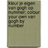 Kleur je eigen Van Gogh op nummer; Colour your own Van Gogh by number