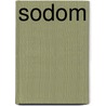 Sodom by Jan Willem Snippe