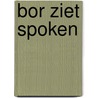 Bor ziet spoken by Harmen van Straaten