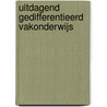 Uitdagend gedifferentieerd vakonderwijs by Klaas van Veen