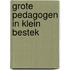 Grote pedagogen in klein bestek