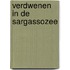 Verdwenen in de Sargassozee