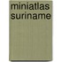 Miniatlas Suriname